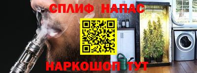 мяу мяу мука Кингисепп