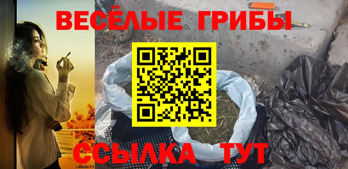 Псилоцибиновые грибы Magic Shrooms Корсаков