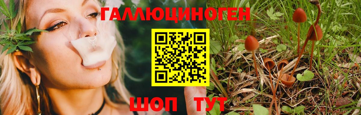 Псилоцибиновые грибы мухоморы  Вход с VPN  Корсаков 